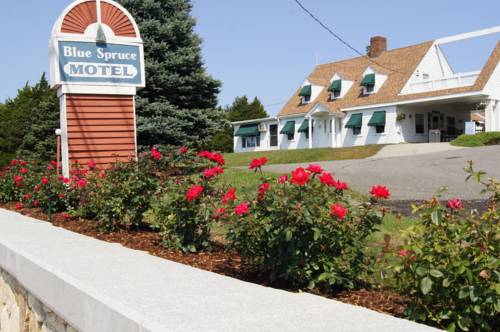 Blue Spruce Motel & Townhouses, Plymouth