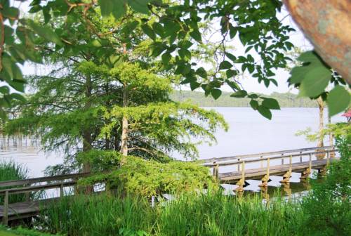 Lake St. John Cottage, Saint John