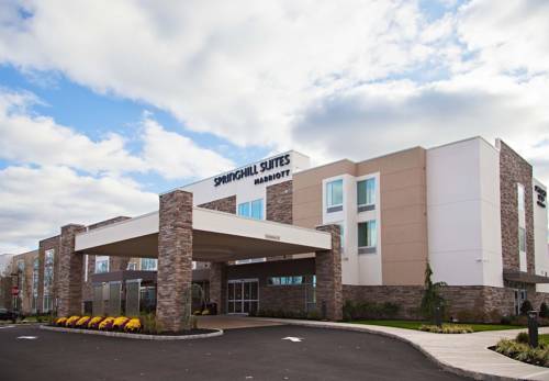 SpringHill Suites by Marriott Somerset Franklin Township, Somerset