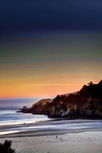 Starfish Point, Newport