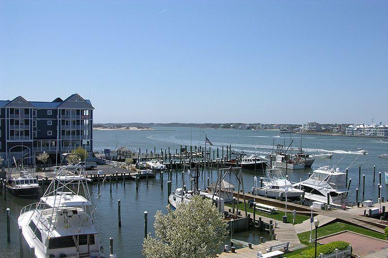 White Marlin 304A, Ocean City