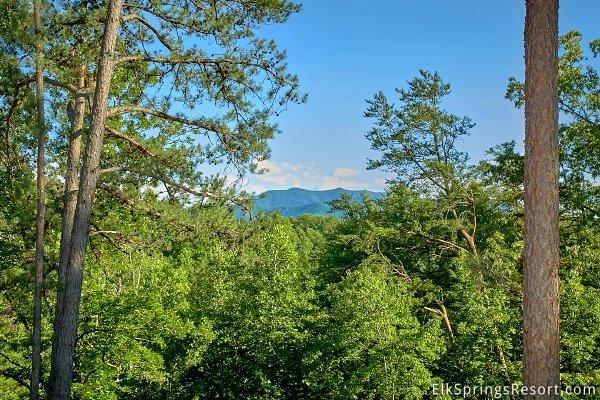 Four Seasons Holiday home, Gatlinburg