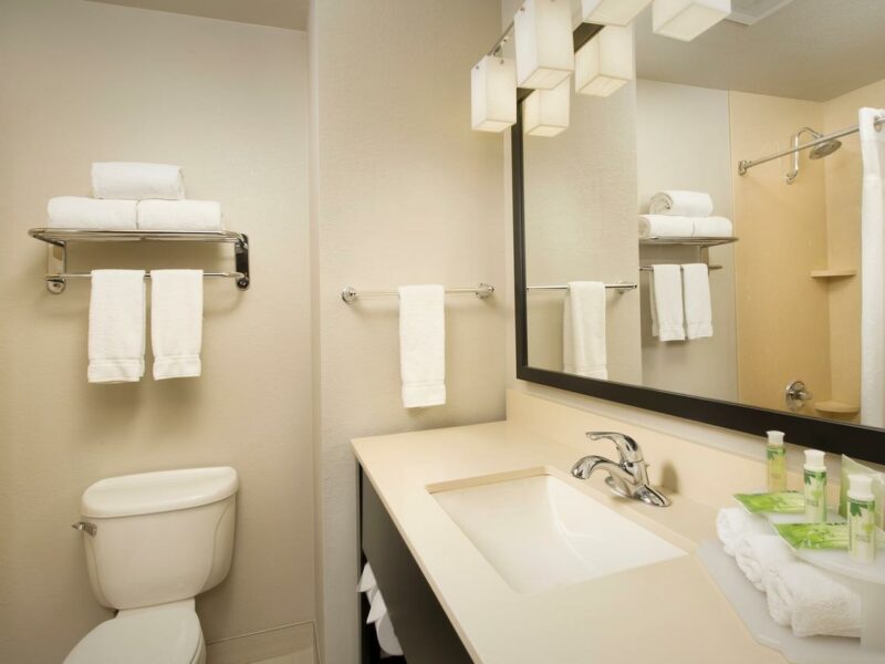 Holiday Inn Express Hotel and Suites DFW-Grapevine, Grapevine
