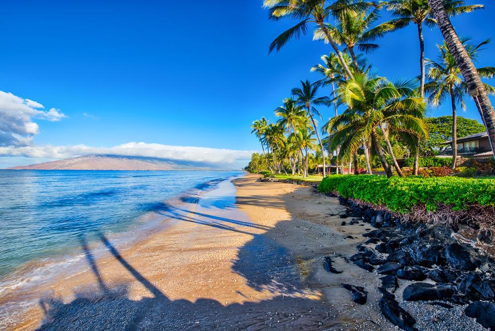 Kalama Terrace, Kihei