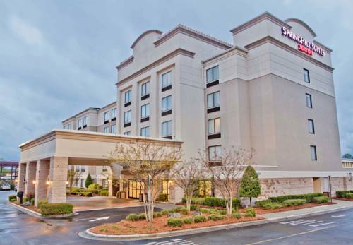 SpringHill Suites by Marriott Charlotte Airport, Charlotte