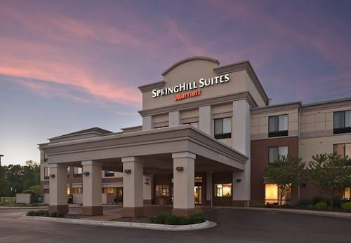 SpringHill Suites Lansing by Marriott, Delta Center Township