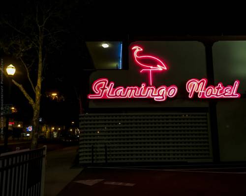 The Flamingo Motel, San Jose