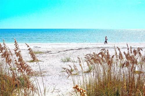 Tropical Bliss, Fort Myers Beach