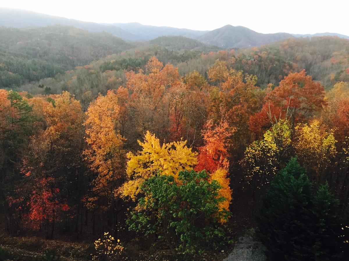 Vista Lodge Holiday home, Sevierville