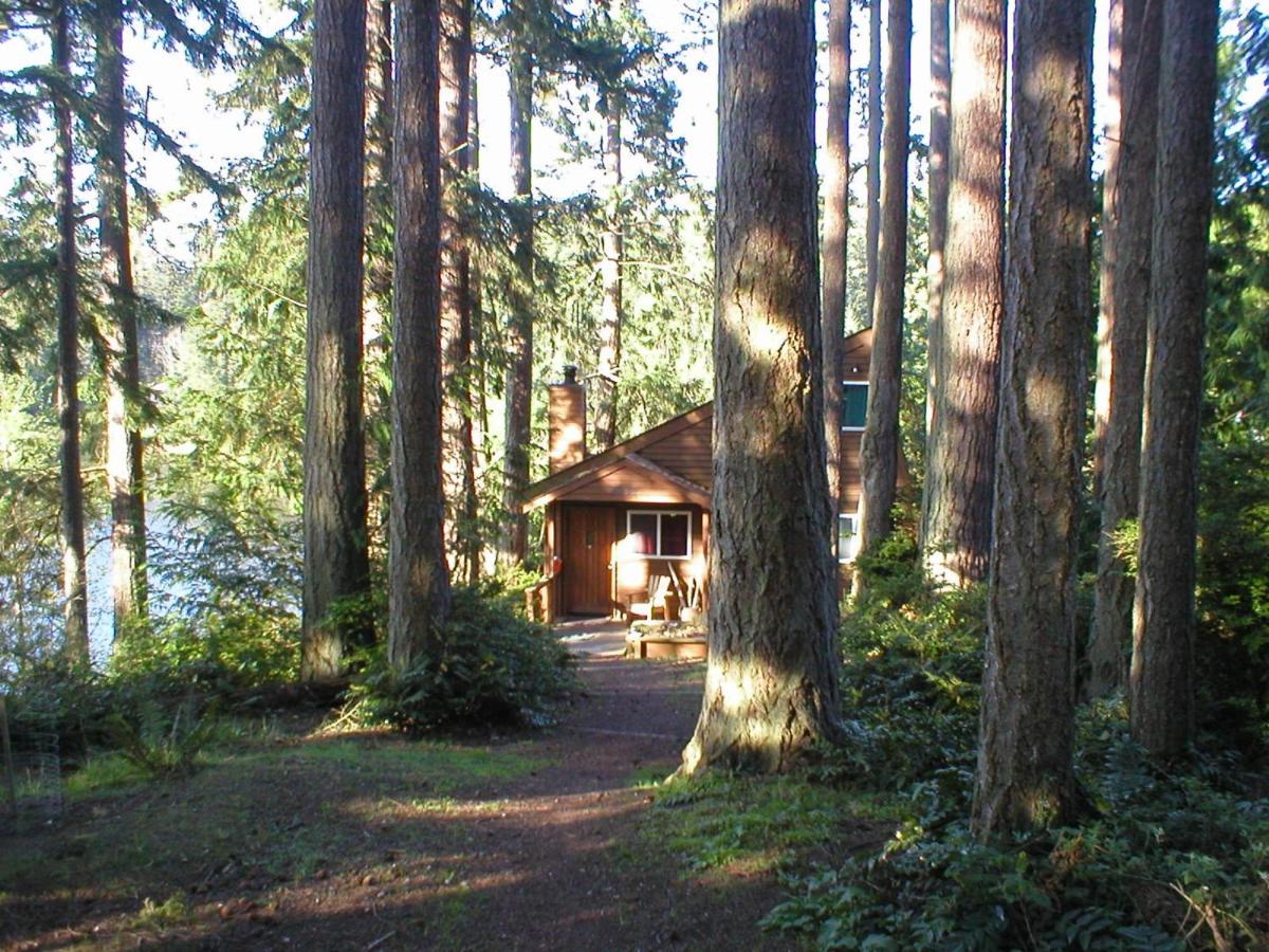 242 - Dolly Mops Cabin, Bay View
