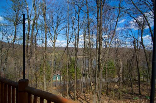 Bear Necessity Four-Bedroom Holiday Home, McHenry