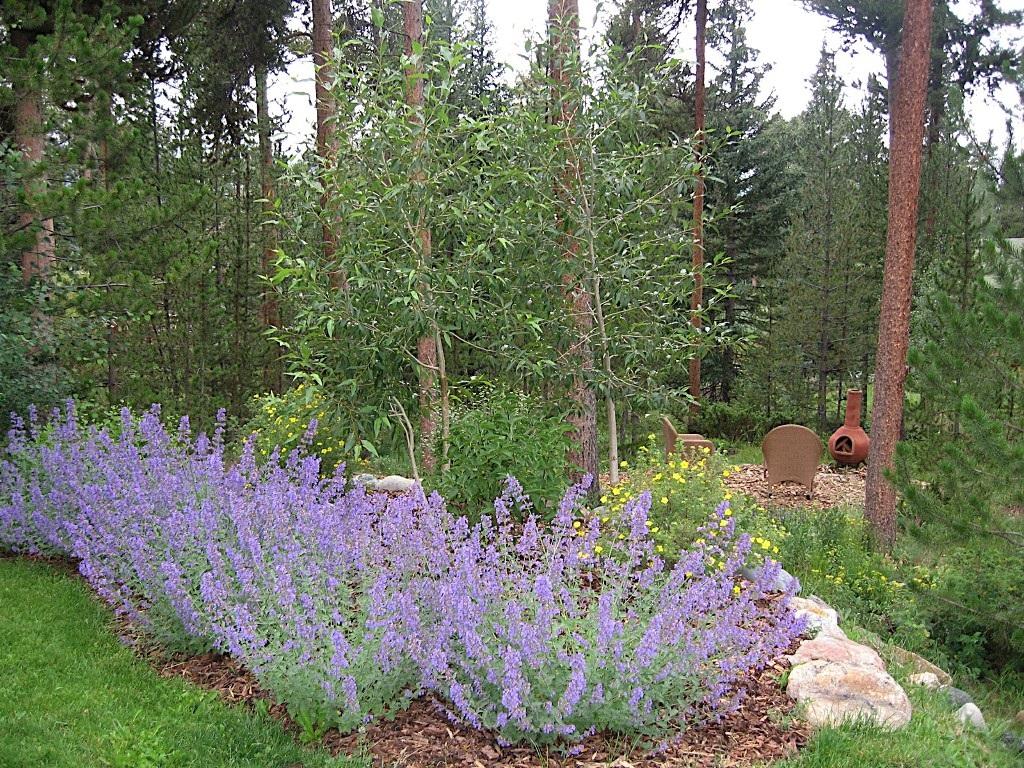 North Pine Holiday Home 107, Breckenridge