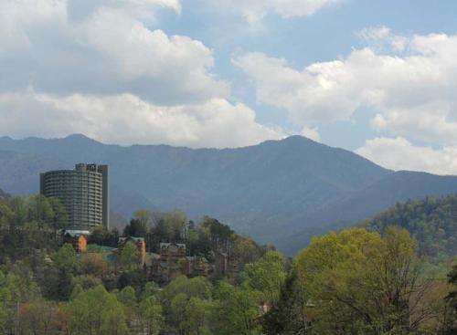 Condo #4052 - Two Bedroom Apartment, Gatlinburg