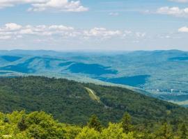 Pinnacle-D8, Killington