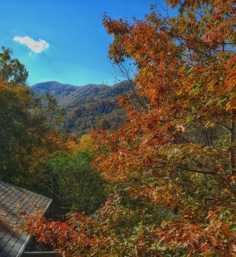 Rooster House, Waynesville