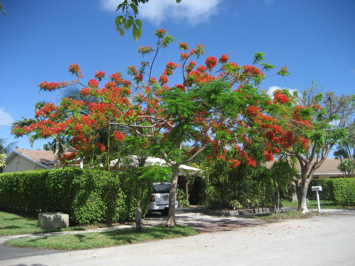 Secluded Pool Home in a Gated Community, Miami