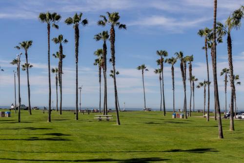 Upper Ensenada At The Beach, San Diego